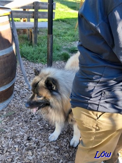 3.9.2025 - Wo ist mein Sekt?